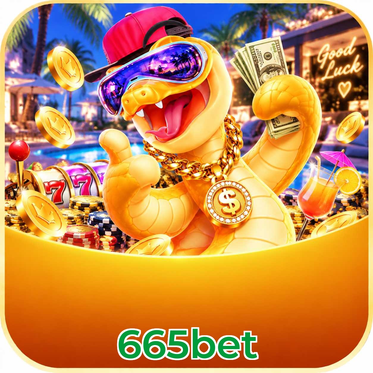 665bet Suporte